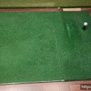 1981골프앤휘트니스 이미지