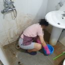 더조은클린환경 이미지