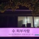 수피부