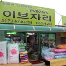 장수주단