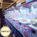 인형크레인 | 대구 죽전네거리 인형뽑기 고고크레인 신상 방문기, 집게 힘 실화? |잘 뽑히는 기계 공유|