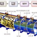 오수합병정화조 구조 이미지