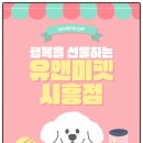 펫샵진