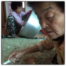 초리넝쿨마을 이미지