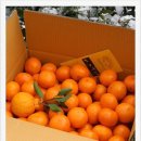 성전농장 이미지