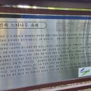 스테이산21 | 남양주 가볼만한 곳, 연꽃으로 힐링되는 광릉수목원 옆 운악산 봉선사