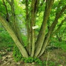 굴암사입구 이미지