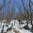 250216 태백 함백산+태백산 설경산행 (백대명산, 1일2산) 이미지