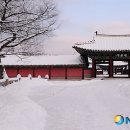설궁