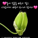 대부도 해바라기 펜션 이미지