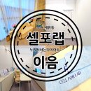 수원 세류동 누워서하는다이어트 전문샵 셀포랩이음 여름맞이 다이어트리뷰볼까용
