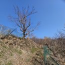 풍도복지회관 이미지