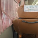 강변자연산횟집 | 1박2일 뚜벅이 혼자 강릉여행