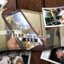 풍일농장 이미지