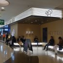 11545-03-10-05 | [05.중국여행_상해] 인민광장 래플스시티｜젤리캣 매장·헤이티·야인선생 디저트 메뉴 추천