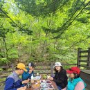 화수정 | 전라북도 대아수목원(2023.12.23 &amp; 2024.4.23)