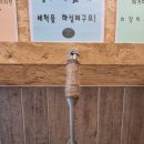 그린필로우 이미지