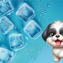 쿨쿨펫 | 여름철 필수템, 애견 쿨매트 추천 및 제품별 비교 분석