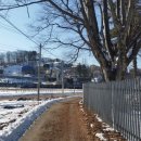 제일초 놀이터 이미지