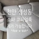 허니룸케어프리미엄 - 아산시 월천6길 72-4 | 천안 성성동 소파 코피얼룩 제거 "시간이 지나도 지워질까요?" 허니룸케어가 직접 쇼파케어한 후기!