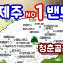 청춘골프투어