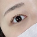 샬롬뷰티 | 순천속눈썹펌 추천 조례동 ‘그리니뷰티’ 클리닉펌 후기