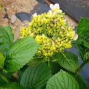 수산리농장 이미지