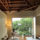 폴개우영 이미지