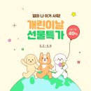 개린이날 이미지