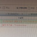 가인동물병원 | 26年1月。