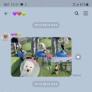 멍뭉이 쌀롱 이미지