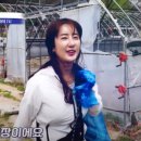 일루와농장 이미지