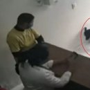 미소 동물병원 이미지