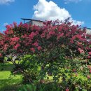 펜션 153 이미지