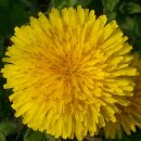 반석농장2 이미지