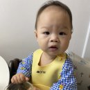 대디의 새로운 도전, 미래 먹거리를 위한 행정안전부 안전강사 전문인력등록, 신청 방법 및 합격 후기 등