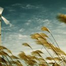 가을바람 이미지