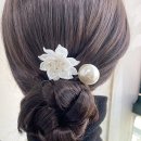 H0041 이미지