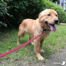 용순농장 이미지