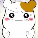 사뚱이네 이미지