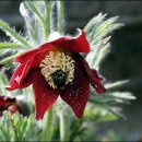 오늘하루 이미지