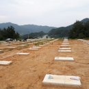 태성 태양광발전소 이미지