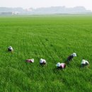 주식회사 다우 이미지