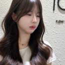 플로우헤어스튜디오 네이버블로그