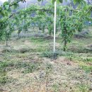 윤성농장 이미지