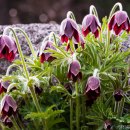 상면농장 이미지