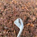 진해중학교 | 진해중고아이언 골프프렌드 골프매장에서 브랜드별 입맛대로 고르기