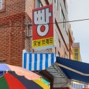 모닝브레드 네이버블로그
