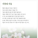 기쁨야채