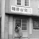 해룡상회 이미지